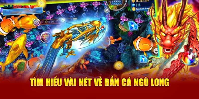 Giới thiệu chung về bắn cá ngũ long